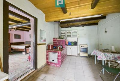 Casă individuală cu 2 camere cu Teren 2473 Mp în Odvoș - 4