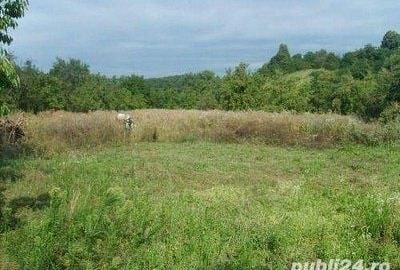 Teren de 3900 mp, în Sâmbotin - 5