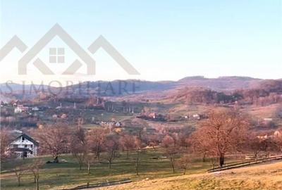 Teren de 2500 mp, în Șișești - 4