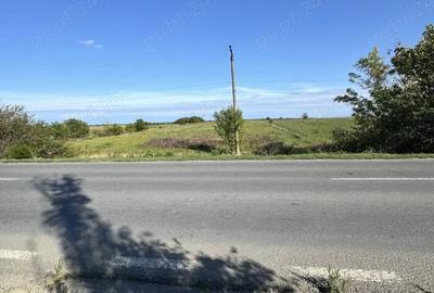 Teren de 6700 mp, în Butimanu - 5