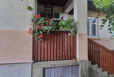 Casă cu 3 camere în Remetea