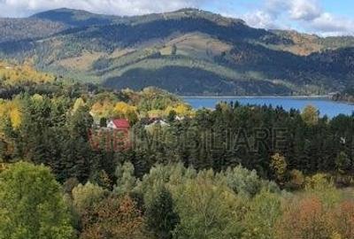 Teren intravilan de 10000 mp, în Ceahlău - 4