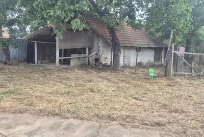 Casă cu 3 camere în Sculia - 9