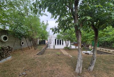 Casă individuală cu 5 camere cu Canalizare în Frumușani - 3