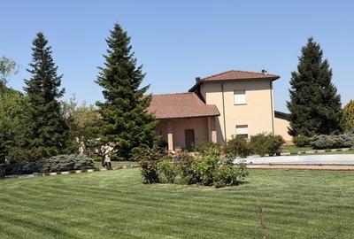 Casă cu 7 camere cu Teren 6500 Mp în Cernica - 1