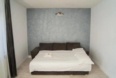 Apartament cu 2 camere decomandat în Ultracentral - 6