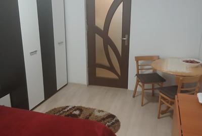 Garsonieră semidecomandată în Lăpuș - 4