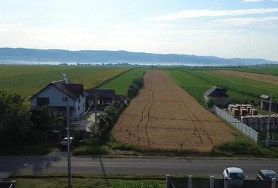 Teren de 5000 mp, în Central