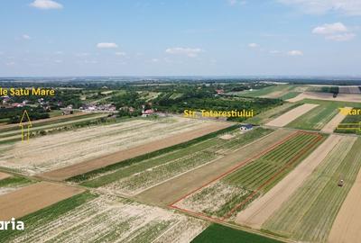 Teren de 7575 mp, în Viile Satu Mare - 2