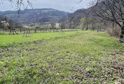 Teren de 2777 mp, în Lunca