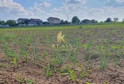 Teren Construcții intravilan de 1000 mp, în Moara Vlăsiei - 2