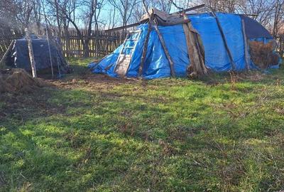 Casa de vanzare,Sacosu mare,6000m2,acte la zi,zona foarte linistita - 4