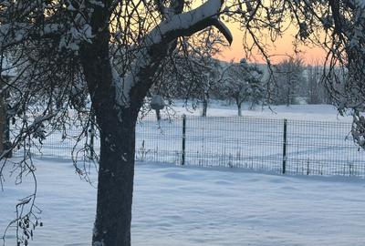 Casă cu 3 camere în Lugașu de Sus - 1