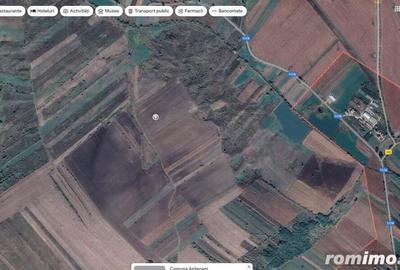 Teren extravilan arabil Ardeoani, ID: R1983077 - 2