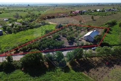 Casă individuală cu 3 camere cu Teren 3094 Mp în Cotești - 1