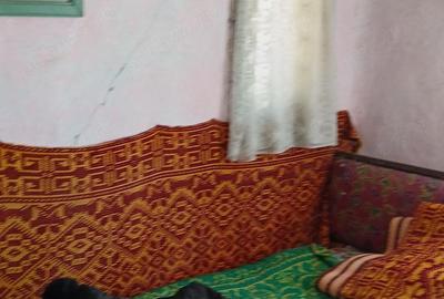Casă cu 4 camere cu Teren 4200 Mp în Izvoru (Gogoșari) - 5