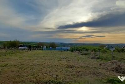 Teren de 1000 mp, în Bârnova - 3
