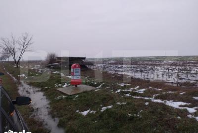 Teren de 10000 mp, în Central