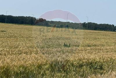 Teren ideal pentru dezvoltare mixta acces A0, Vadul Anei/... - 1