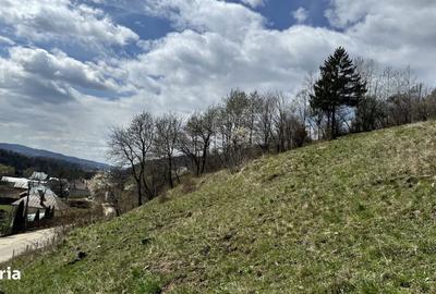 Teren de 6996 mp, în Valea Mare - 2