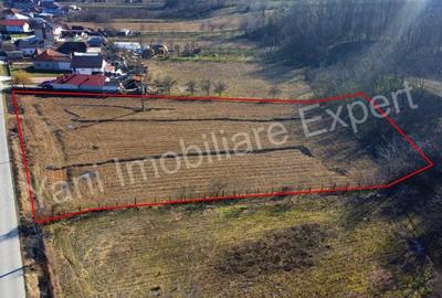 Teren de 5600 mp, în Valea Brazilor - 3
