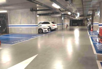 CENTRAL  Rezidence, Stefan cel Mare, Vasile Lascar, bloc nou, lux, garaj - 2