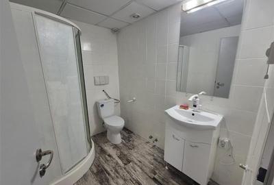 Spatii de birouri langa metrou Brancoveanu - de la 117 mp - 8