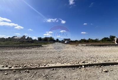 Teren ideal pentru casa de vis in Mogosoaia - 849,3 mp, cu utilitati Teren ideal pentru casa de vis in Mogosoaia - 849,3 mp, cu utilitati - 16