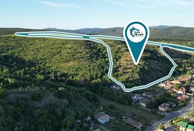 Teren de 6,35 ha, pentru un complex turistic pe dealurile din Paulis - 1