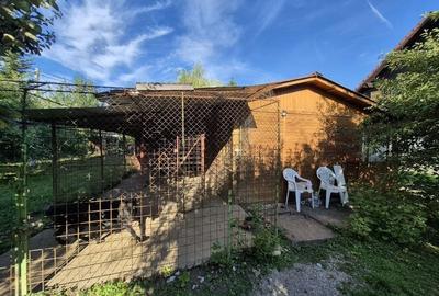 Cabana de lemn cu fundatie 86 mp+ livada pomi fructiferi+teren 847 mp - 10