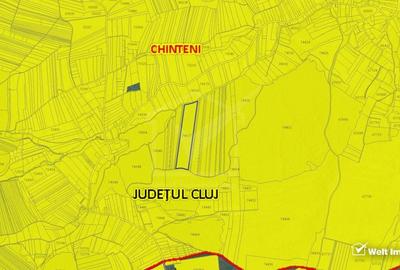 29.000 mp padure in Padureni (Chinteni), 100% material lemnos - 2