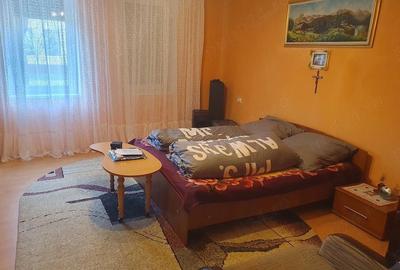 Casă cu 3 camere cu Teren 1750 Mp în Pustiniș - 3
