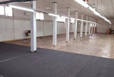 Spațiu industrial, 450 mp în Artego - 4