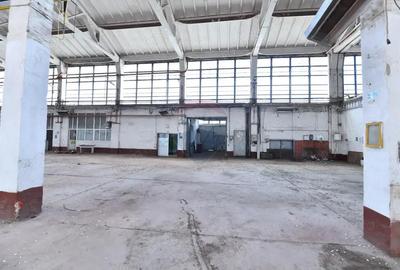 Teren industrial 35.000 mp cu hale de productie Craiova - 3