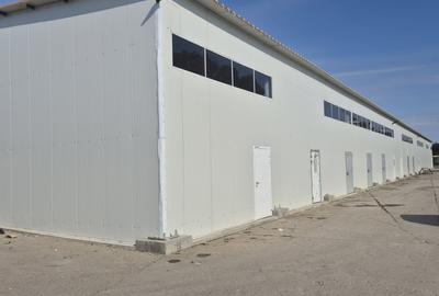 HALA | HALTA TRAIAN | SERVICE | DEPOZITARE - 5