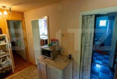 Casă cu 3 camere cu Teren 4000 Mp în Rovina (Brănișca) - 8