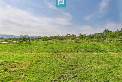 Casa cu teren de 4707 mp in Halmagel, jude?ul Arad - 16