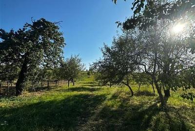 Reco Casa cu teren in Budureasa, langa Stana de Vale - 11