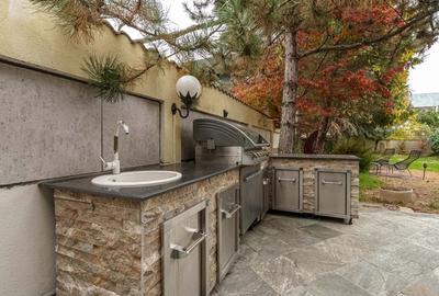 Vila mobilata utilata Iancu Nicolae - 21