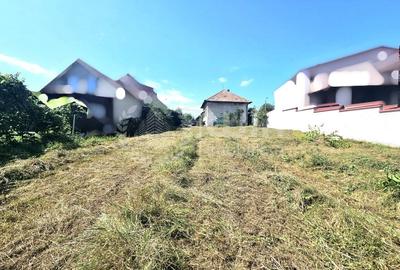 Casa individuala | Teren 2858mp | Front 14m | Dambul Rotund! - 2