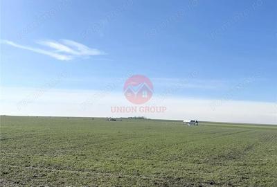 Teren de 700 mp, în Sud - 4