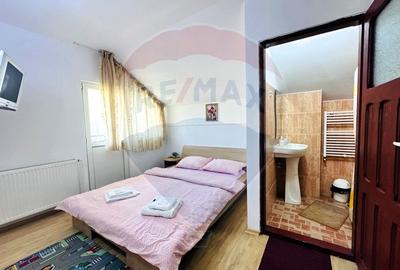 Pensiune + Vila pe malul raului Lotru-Malaia,Valcea - 20