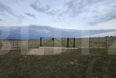 Teren în Arcuș - 3