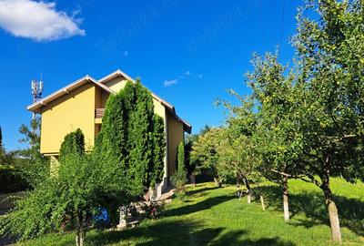 Casă cu 6 camere cu Teren 4200 Mp în Central - 3