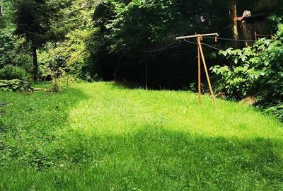 Teren Moroasa 1000 mp intravilan negociabil - 2