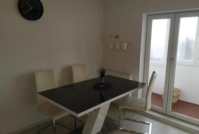 Apartament cu 2 camere decomandat în Dosu Bricii - 8