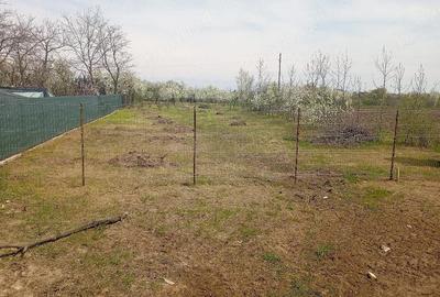 Casă cu 3 camere cu Teren 1700 Mp în Jugureni - 5