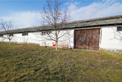 MICRO-FERMA CASA IN VOIVOZI - BIHOR - 1