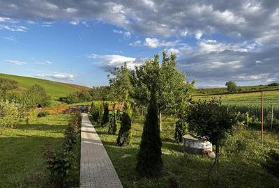 Casă cu 2 camere cu Teren 1751 Mp în Central - 2