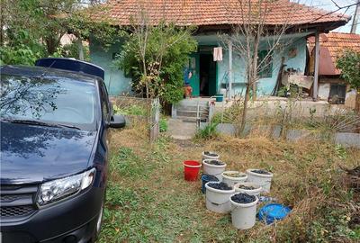 Casă în Central - 7